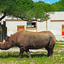広島市安佐動物公園