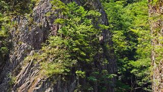 距離は短いですが、景色は良い