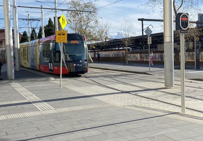 車内からの景色も楽しめます！