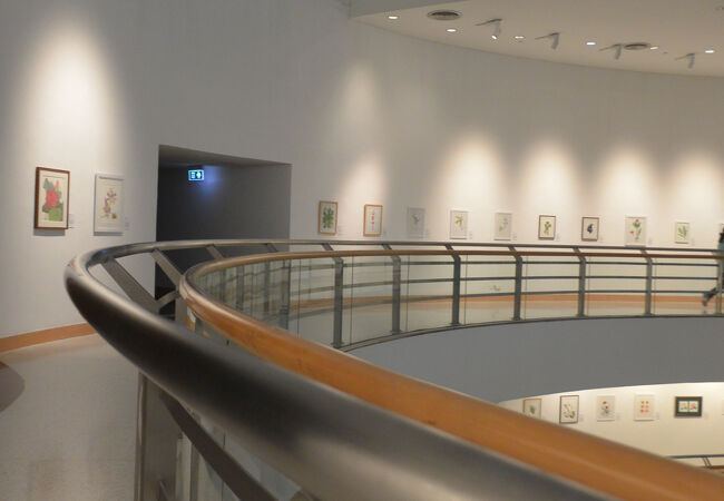 意外と（？）おすすめ！