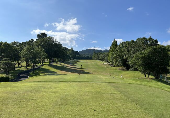 セブンミリオンカントリークラブ