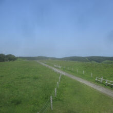 原生花園あやめヶ原