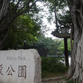 駅前の緑豊かな広大な公園