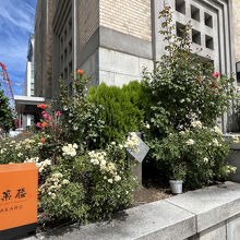 北菓楼 札幌本館
