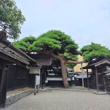 本間家旧本邸