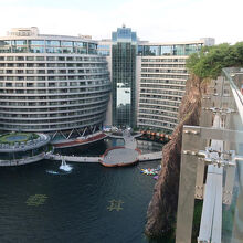 園内にあるグラス・ウォークからの眺めが圧巻！