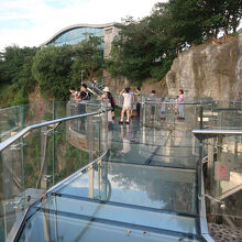 …採石坑跡の岩壁に設置されたグラス・ウォークはスリル満点