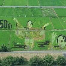 2024こしがや田んぼアート