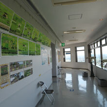 高さ80mの展望台