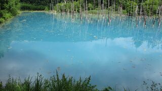 マスクを外してしまいました