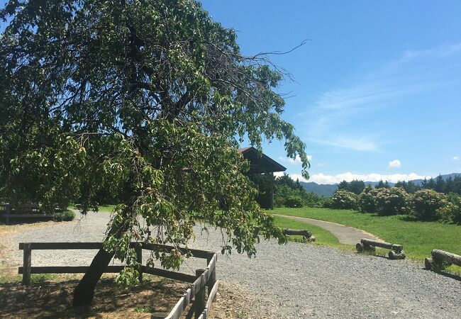 下古田の展望台