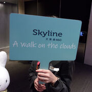 3,000元の絶景をご堪能あれ！～Sky Line 460 屋上展望台～