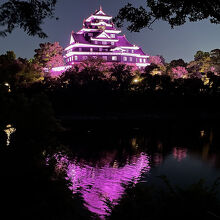 岡山城 烏城灯源郷