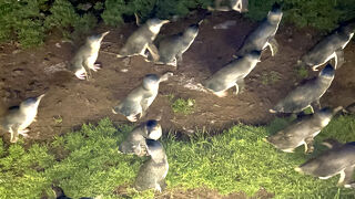 パレードを見るには観覧場所が重要。