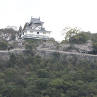 ホテルの前の道から見た岩国城