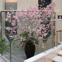 ロビーにある桜