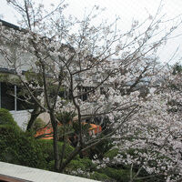 レストランがある棟