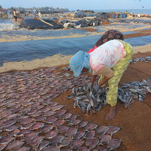 魚を干す目的では今も使われている古いほうの市場