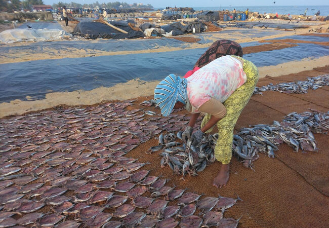 ネゴンボ 魚市場