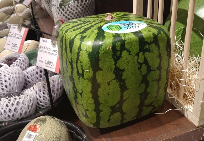 東海道新幹線の真下