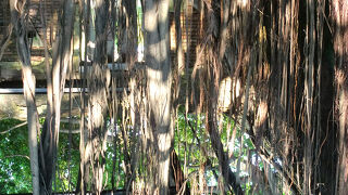 徳記洋行/安平樹屋