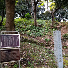 都内最大規模の前方後円墳”芝丸山古墳”の墳頂部分にあります。