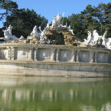 たくさんの像が