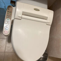 ちゃんとシャワー便座付