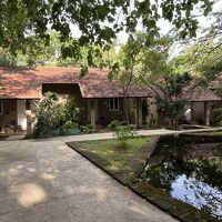 南国の森の中にコテージがあります。