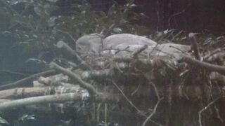 トキふれあいプラザ