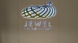 空港直結だが結構歩きます。