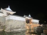 駿府城公園 (駿府城址、紅葉山庭園)