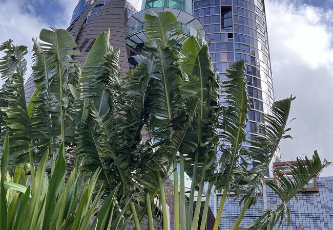 エリザベスキーにあるタワー【スワンベル】