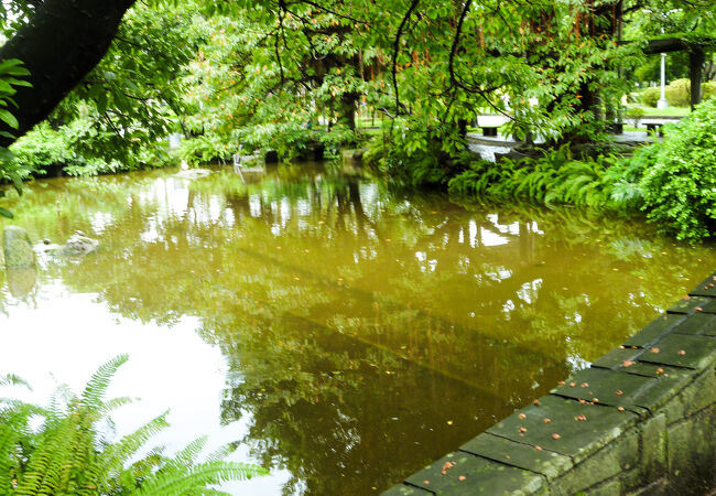 鯉魚池 (二二八和平公園内）