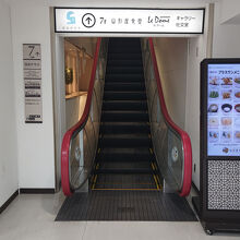 このエスカレータの先に、非日常の空間が