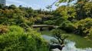 素晴らしい日本庭園