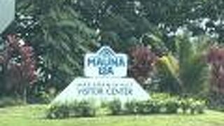 マウナ ロア マカデミア ナッツ農園