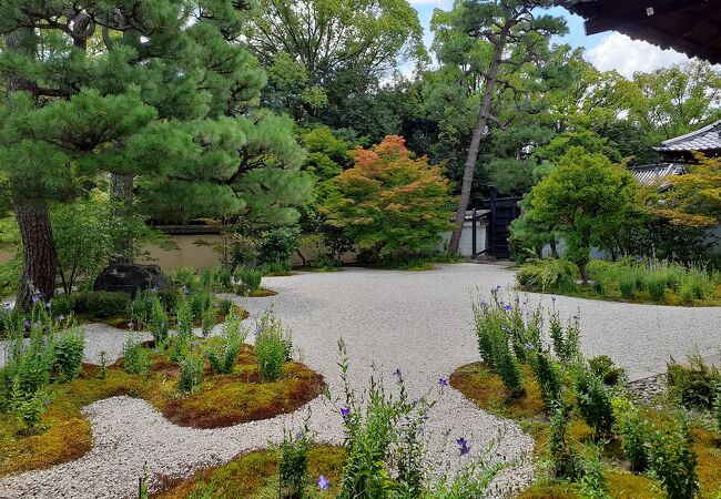 大河ドラマを見て