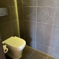 シャワーの前がトイレ。仕切りが無いので要注意