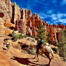 Peek-A-Boo Loop Trail
