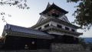 今でも身近な存在であることがよく分かります