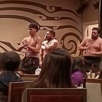 マオリ族のショー