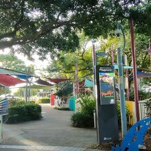 日陰になってて良いです