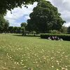 ローゼンボー離宮をベンチから眺めながら休憩。広い公園です。