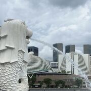 世界各地の観光客もみられるよ！
