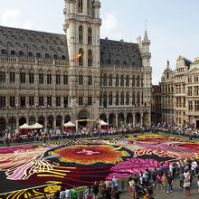 見事なフラワーカーペット♪