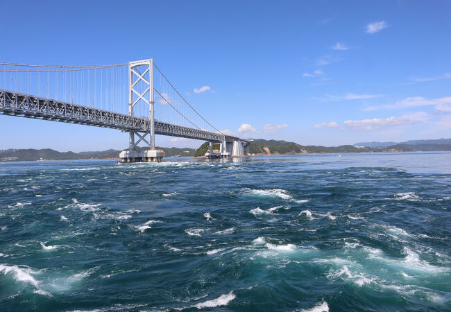 想像をはるかにこえる大迫力
