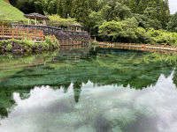 霧島山麓丸池湧水