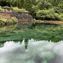 霧島山麓丸池湧水