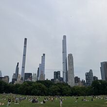 芝生の向こうにビル